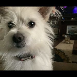 Meet your Posher, Gail